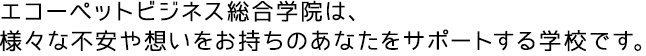 エコーペットビジネス総合学院は、様々な不安や想いをお持ちのあなたをサポートする学校です。学院