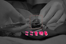 SONY DSC